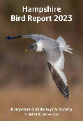 Hampshire 2025 county year listing - Going birding Hampshire